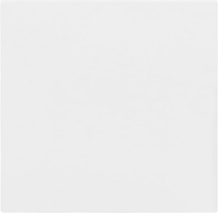 Actual product image Busch-Jaeger Rocker