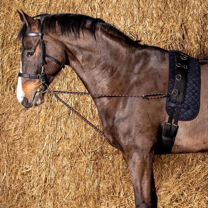Actual product image Harry's Horse V-line