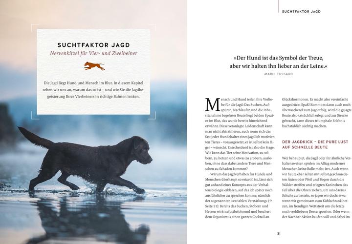 Produktbild Nie mehr Stress mit meinem jagenden Hund (Deutsch, Alexandra Wischall-Wagner, 2022)