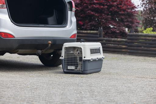 Actual product image Karlie Nomad transport box (Dog, Cat, Lockable)