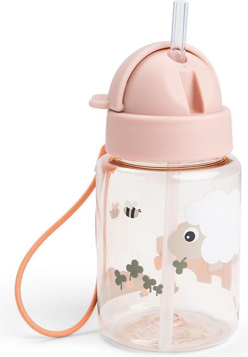 Borraccia + Thermos