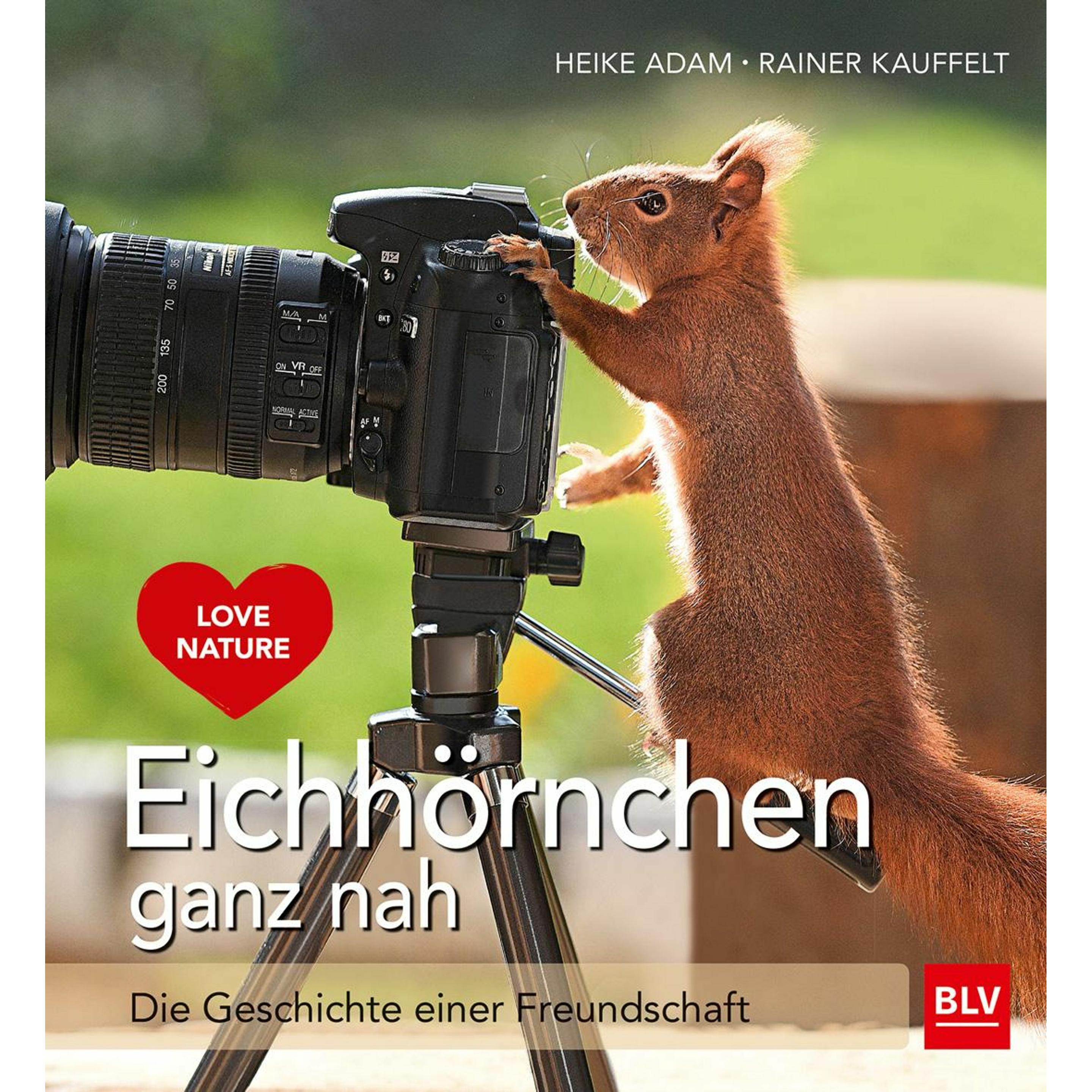 Eichhörnchen ganz nah, Ratgeber von Rainer Kauffelt