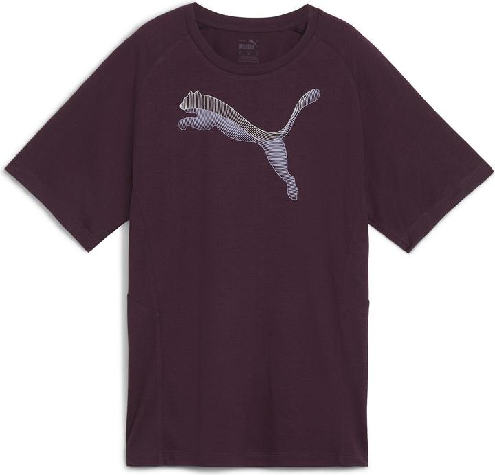 Puma EVOSTRIPE Tee (L)