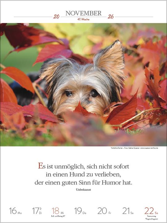 Produktbild Literaturkalender Hunde 2026 (Spezial)