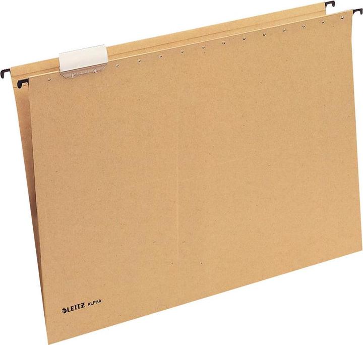 Actual product image Leitz Alpha suspension file (A3, 1 x)
