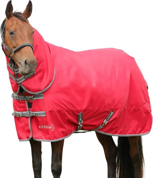 Immagine prodotto Storm X Empra Combi Collo Combo Coperta per Cavalli (160 cm)