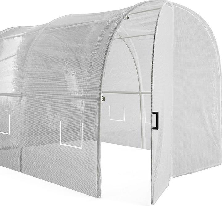 Immagine prodotto Vente-unique Alocasia