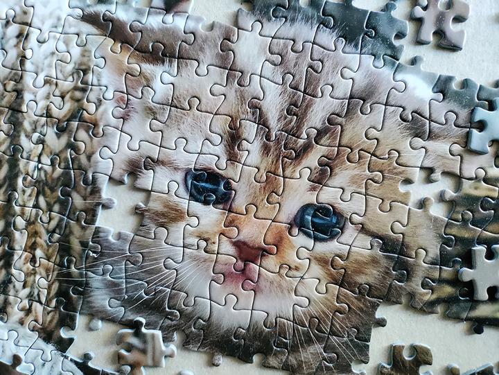 Produktbild Tactic Cute Kittens 1000 pcs (1000 Teile)
