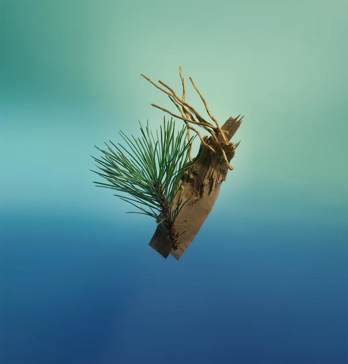 Produktbild David Beckham True Instinct Deodorant Spray für Männer 150 ml (Spray, 150 ml)