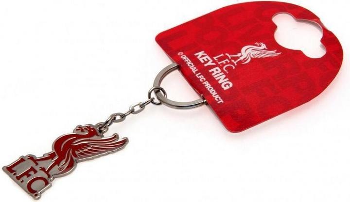 Actual product image Score Draw Livervogel Keyring