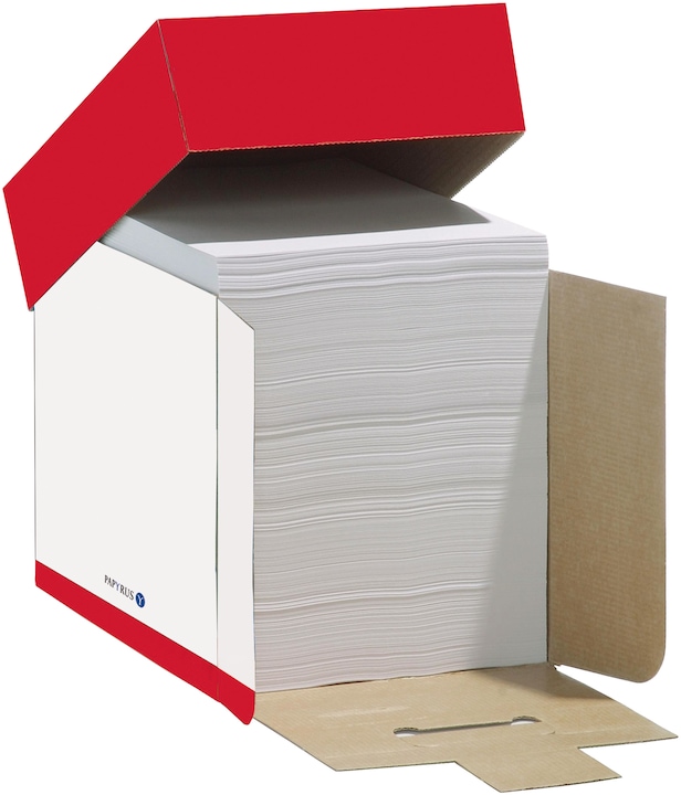 Image du produit Papyrus Papier à copier Maxbox FSC A4 88026778 blanc, 80 g SB feuilles (80 g/m², 2500 x, A4)
