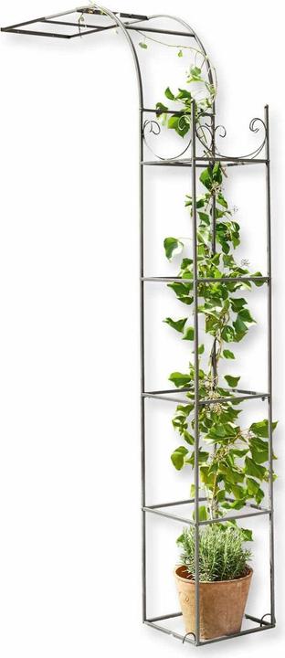 Produktbild Loberon Fiore (30 cm, 123 cm)