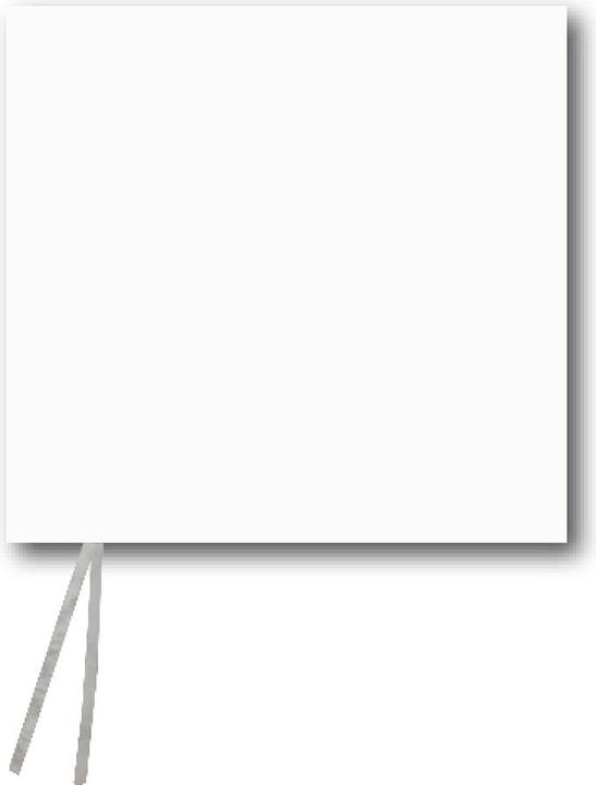 Actual product image Sporti Set of 4 rigid corner posts with 4 flags