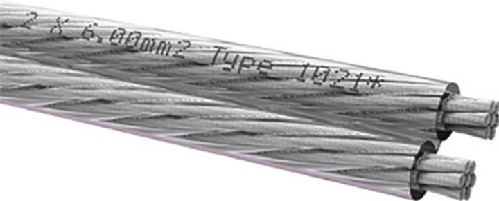 Actual product image Oehlbach D1C345 Loudspeaker cable 2 x 6.0 mm² Transparent 4 m (4 m, 6 mm²)