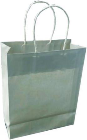 Produktbild Tragtasche Platin 22x27x10cm