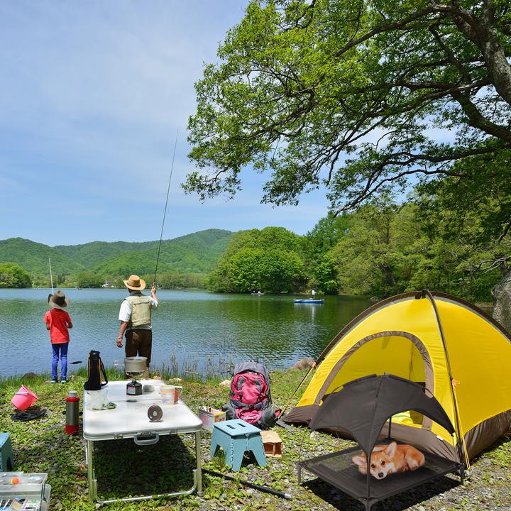 Actual product image Relaxdays Lettino per-cani (Dog)