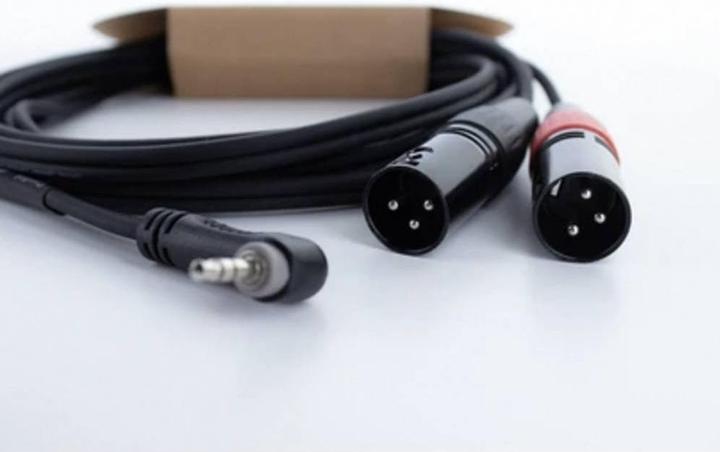 Image du produit Cordial EY 1 WRMM XLR Y-Adapter (1x Klinkenstecker 3.5 mm - 2x XLR-Stecker 3 pol