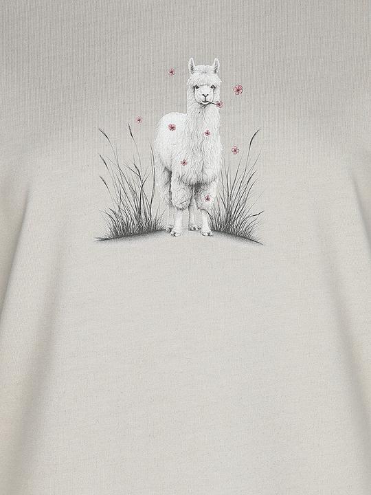 Immagine prodotto Chillaz Klettershirt Alpaca Meadow (38, M)