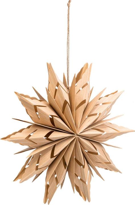 Image du produit pfister Mystic Forest