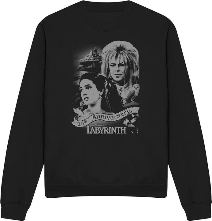 Produktbild Sweatshirt Jubiläum (M)