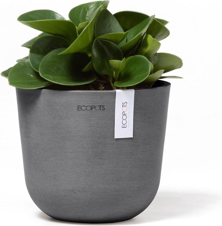 Immagine prodotto Ecopots Oslo Mini (16 cm)
