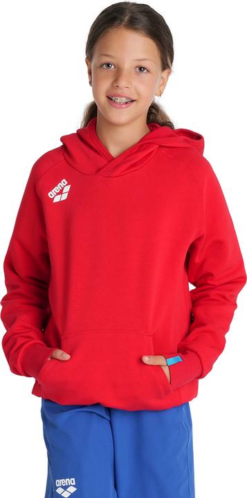Actual product image Arena Jr Team Hooded Sweat Panel (128)