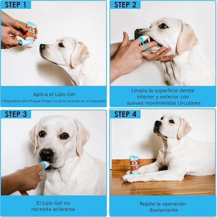 Produktbild Bogacare bogadent DENTAL LIPO-GEL (Hund, 100 ml)
