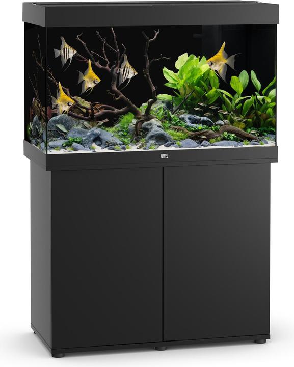 Image du produit Juwel Aquarium Aquarium Rio 290, noir (290 l)