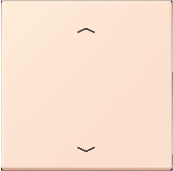 Produktbild JUNG Wippe 1fach m. Pfeilsymb.