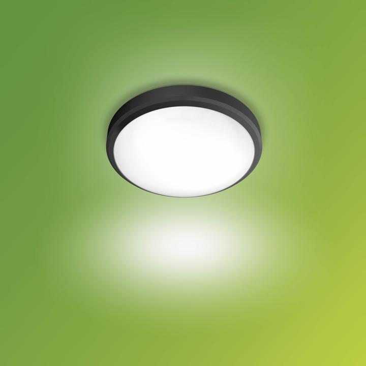 Image du produit Philips Doris (600 lm)