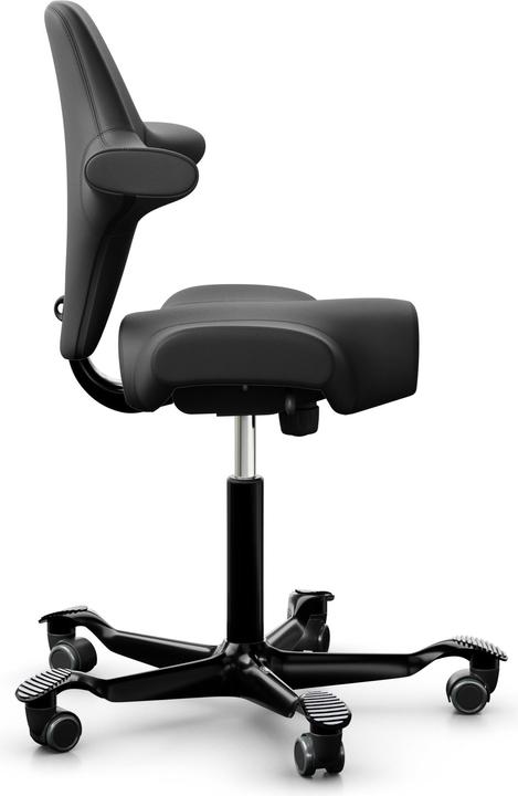 Actual product image HAG Capisco 8106