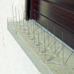 Actual product image Plastia Pigeon repellent