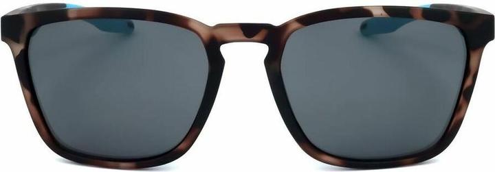 Light blue, Tortoiseshell grey