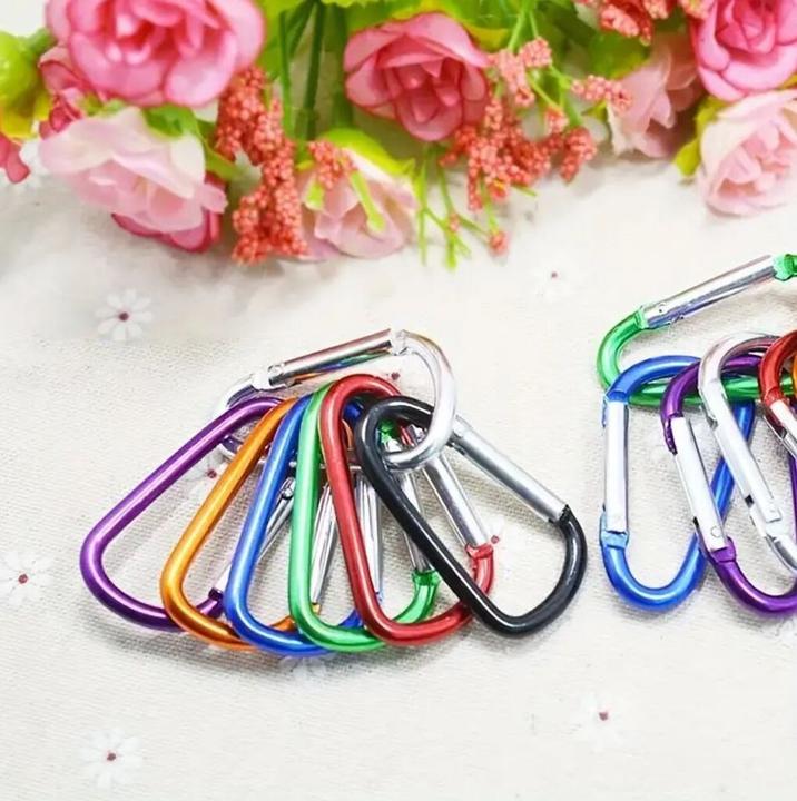 Produktbild Champ Karabiner-Schlüsselanhänger