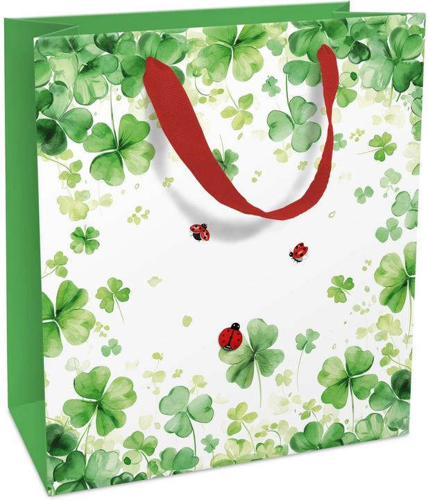 Produktbild Braun + Company Geschenkpapier 2mx70cm (1x)