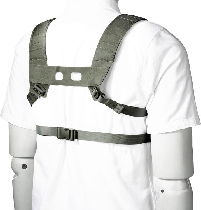 Immagine prodotto Tasmanian Tiger TT Small Combi Rig IRR