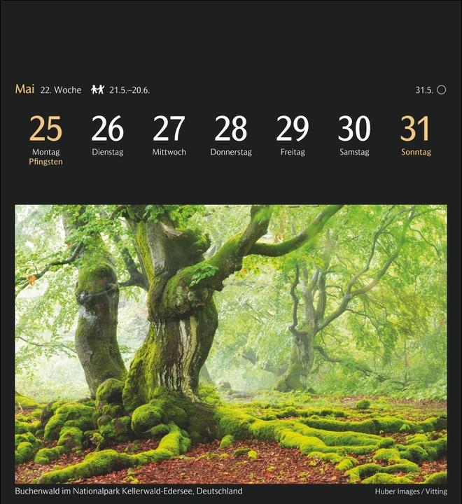 Image du produit Harenberg Die Welt in Farben Postkartenkalender 2026 - Kalender mit 53 Postkarten (Couverture rigide, Allemand)