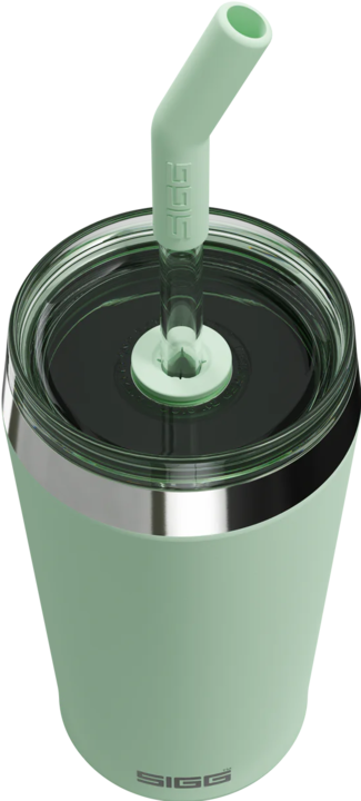 Actual product image Sigg Helia (0.60 l)