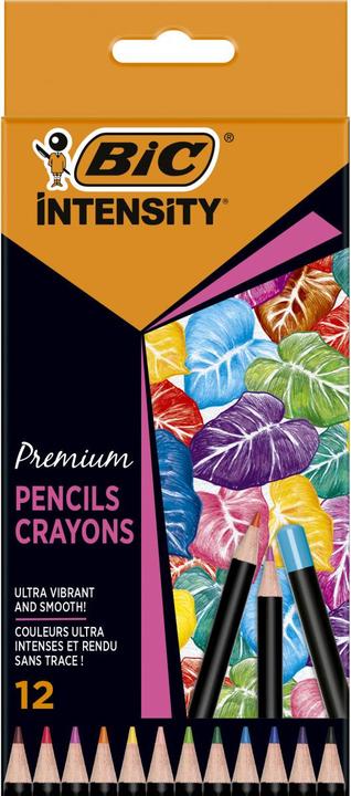 Actual product image Bic Color pencils Intensity (12x)