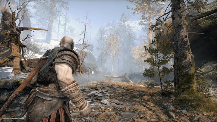 Produktbild Sony God of War Standard PlayStation 4 (PS4)