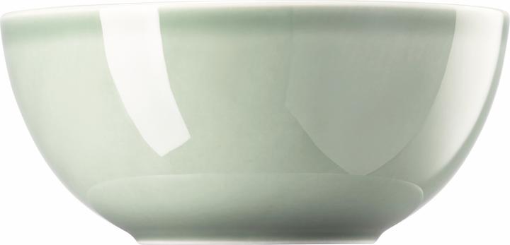 Productafbeelding Thomas Daily - Mosgroen - Saladier 18 cm (18 cm, 1.10 l, 1x)