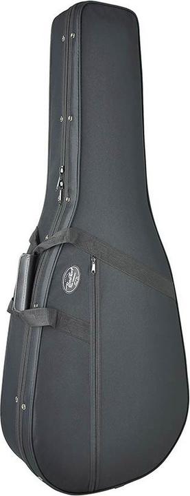 Boston CAC-250-D (Elektrische gitaar)