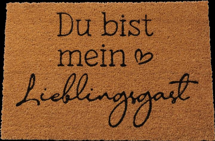 Productafbeelding Boltze Home Favoriete gast (40 x 60 x 40 cm)