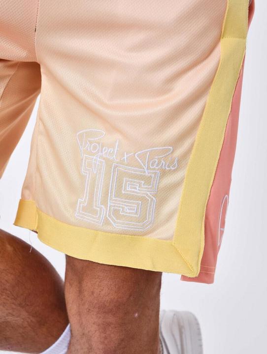 Image du produit Project X Paris short style basketball (XL)