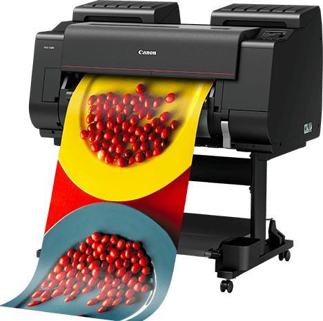 Actual product image Canon iPF PRO-2100 24" Plotter 12 Color (Ink tank, Colour)