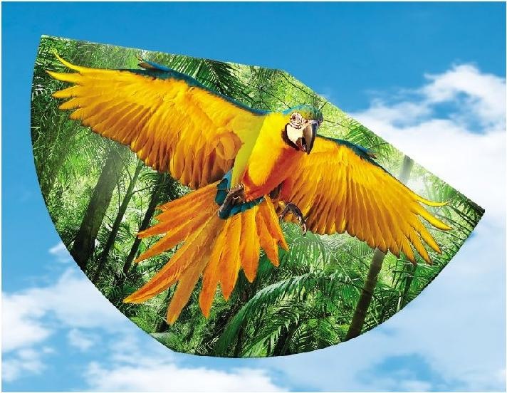 Actual product image Günther Flugspiele Children kite parrot