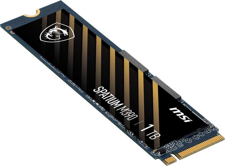 Produktbild MSI Spatium M390 (1000 GB, M.2 2280)