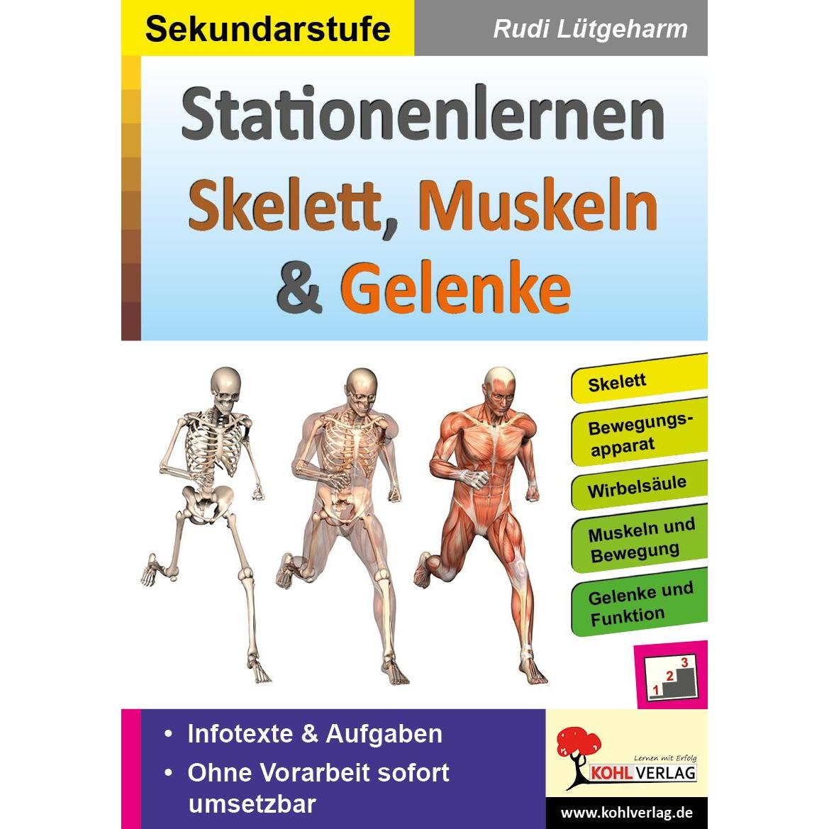Stationenlernen Skelette, Muskeln & Gelenke, Schulbücher von Rudi Lütgeharm