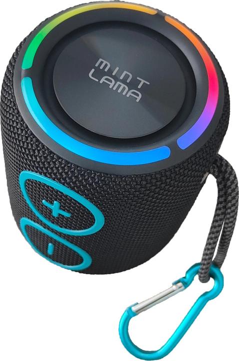 Actual product image Mint Lama Lamabeat 2 (6 h)