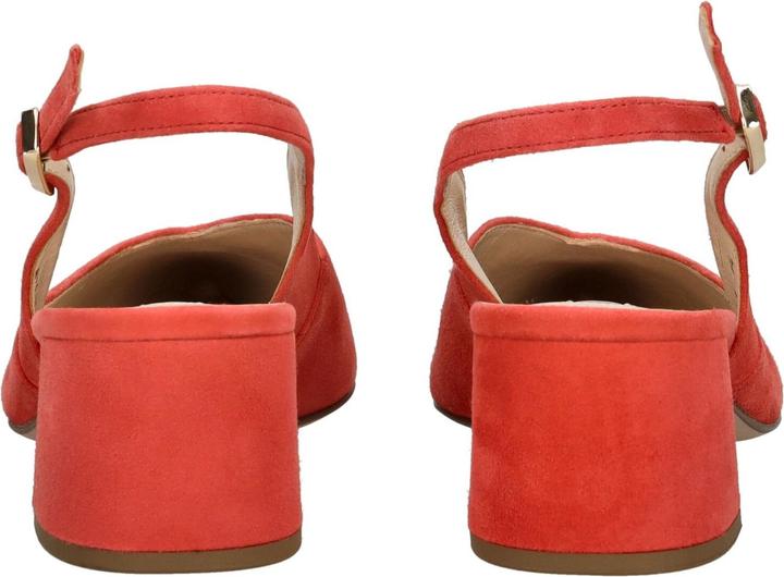 Actual product image Högl Pumps (42)